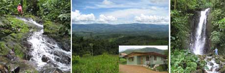 260 acres