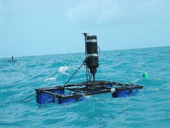 Industrial Maintenance Divers photo