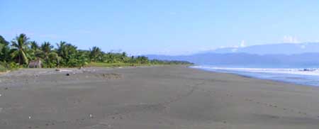 beachproprty