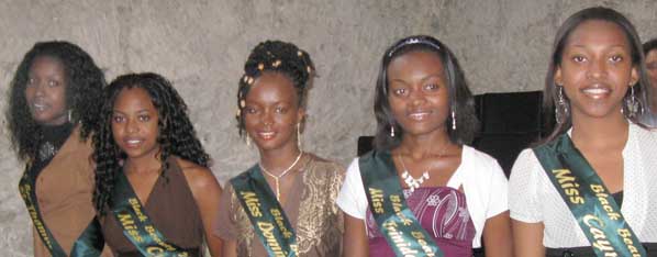 Black Beauty candidates