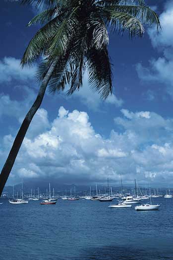 boats in tropics