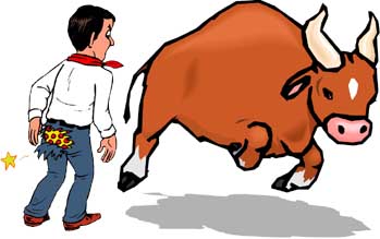 busted bull fighter