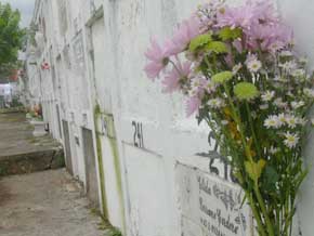 Flowers at grave