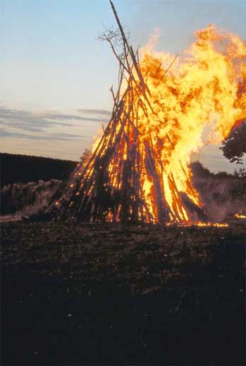clearcut fire