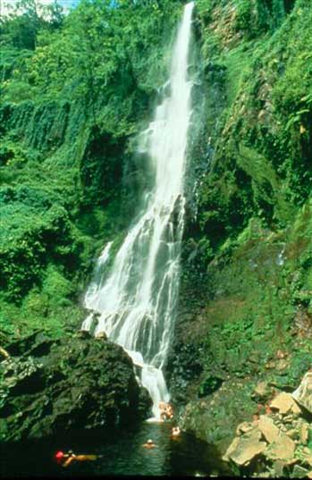 cascade