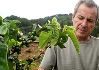 Luis Alfaro Zeled&oacute;n and coffee