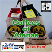 coffee of atenas
