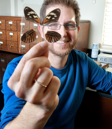 butterfly expert