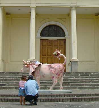 first cow parade photo