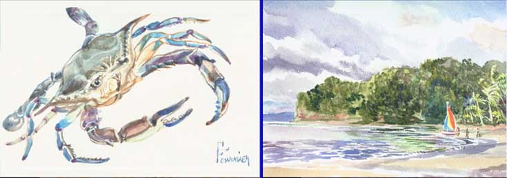 Crab and beach