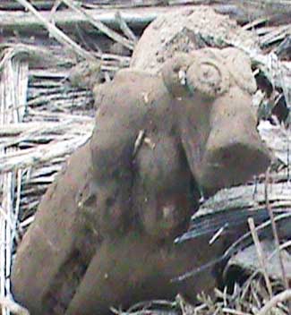 archaelogical find