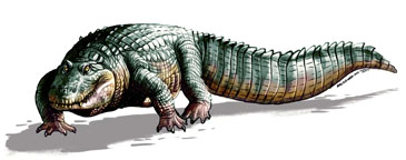 big croc