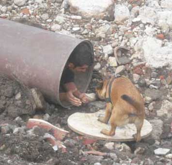 Dog finds man