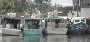 drug boats at dock