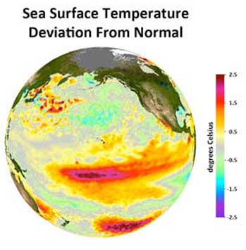 sea suface temperature change