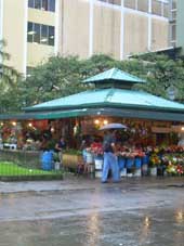 shared flower locale