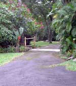 Fountain Guesthouse