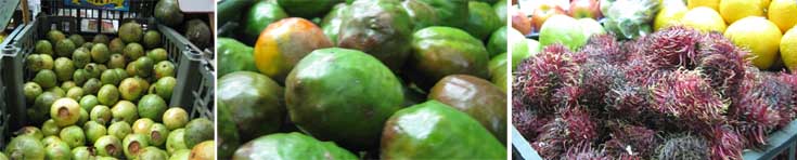 fruits of the country