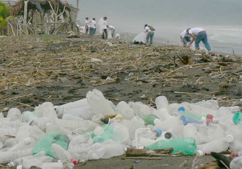 beach cleanup