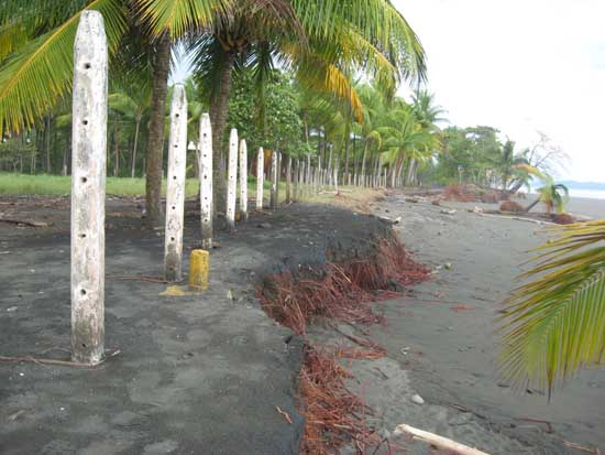 Isla Palo Seco