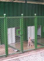 Dog kennel