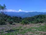 vista one
