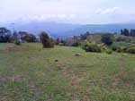 vista three