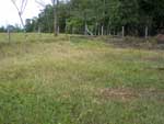 lot photo one