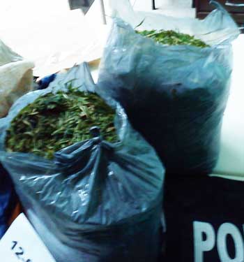 bags of marijuana