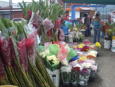 mother's day flowers