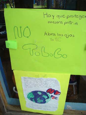 no to TLC one