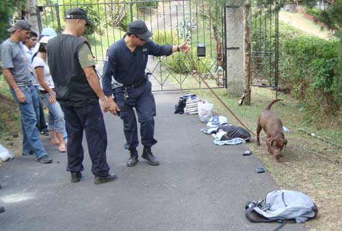 dog on the job