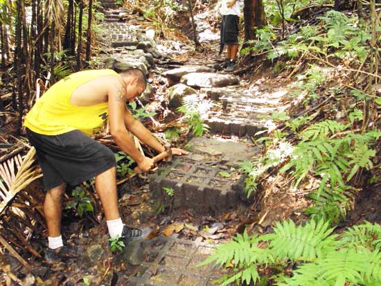 Rehabing the trail