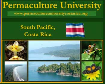 Permaculture University