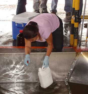 water samples