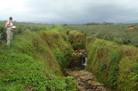lack of protective zone