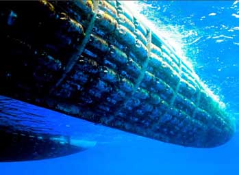 plastic hulls