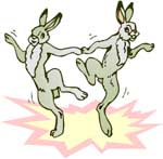 rabbits dancing