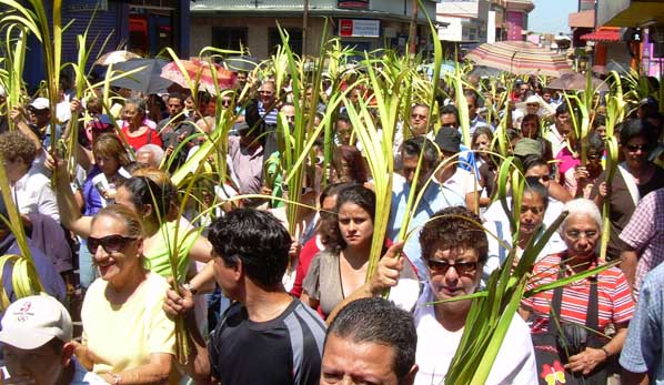 ramas del domingo