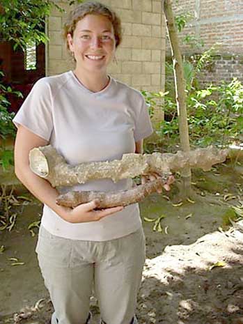 grad student with root