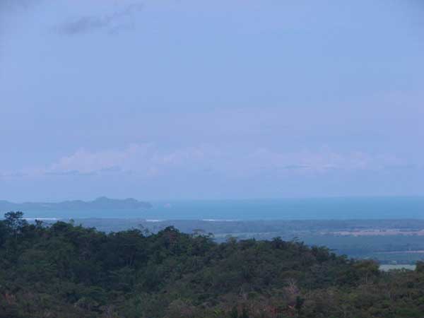 Ryan view