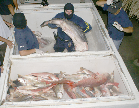 policemen and fish