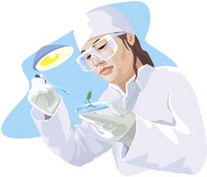 woman studies seedling
