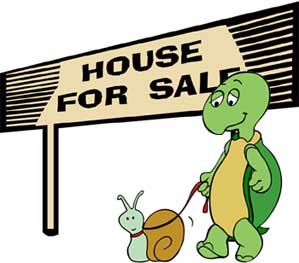 turtle time for real estate