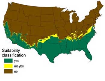 snake map
