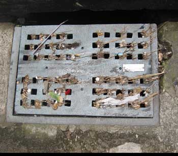Plastic grates