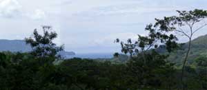 Tambor view