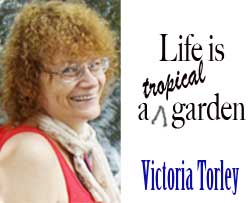 Victoria Torley